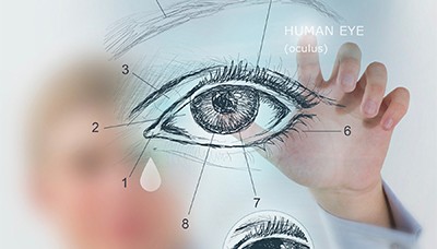 human eye sketch